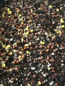 【3日目の朝】2