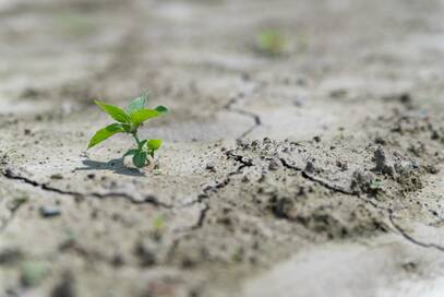 日本人は水を使いすぎ？トイレの「大・小」を区別することから＜今日からできる！暮らしのSDGs＞
