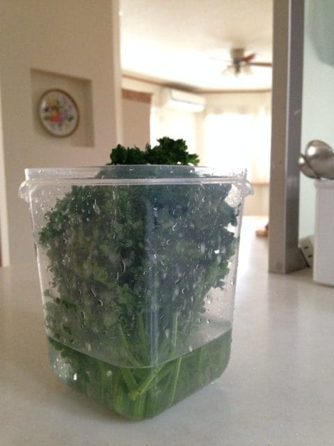 保存容器に水をはって保存