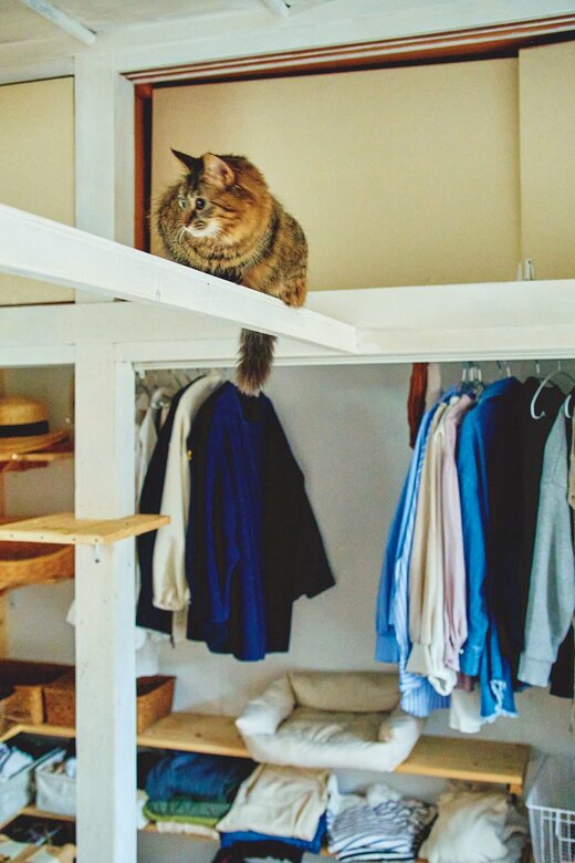 キャットウォーク