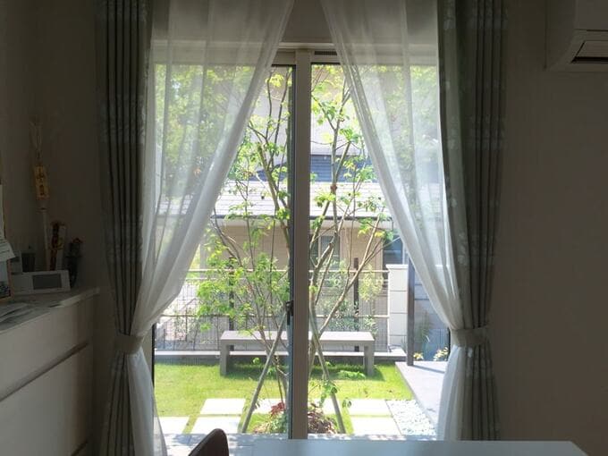 ダイニングの窓前に植えたジューンベリー