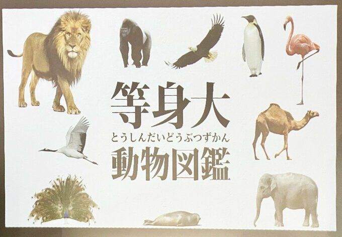 popIn Aladdin2の等身大動物図鑑