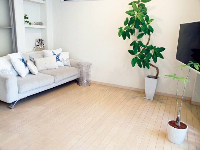 片づいたリビング 