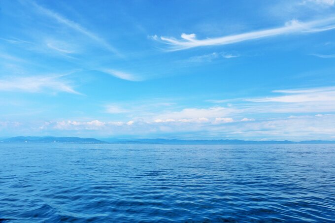 海