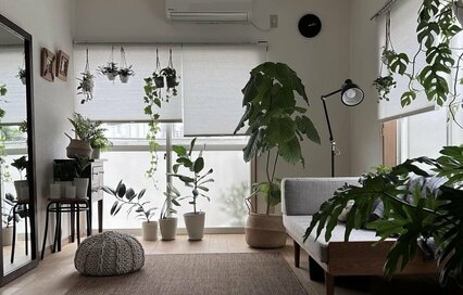 50代、築36年賃貸で“すっきり”ひとり暮らし。ものを大量に手放して手に入れた自由