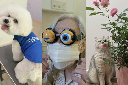 母の日・父の日の「喜ばれプレゼント」。意外なグッズに義母のテンションアップ