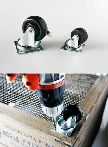 キャベツボックス