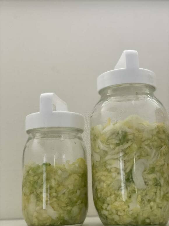 ビンにキャベツ下から