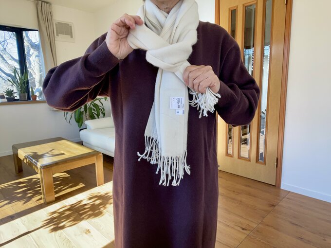 (5)もう片方も同じ輪にとおす。