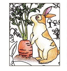 色鉛筆のうさぎ