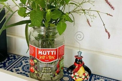 50代、「団地ひとり暮らしが愛おしい」ワケ5つ。いいことばかりではない、でも笑顔も感動も増えた