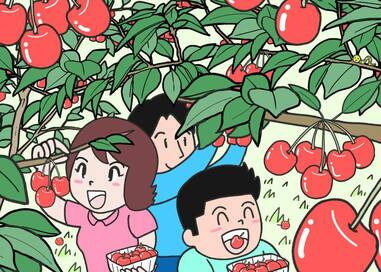 甘くておいしいサクランボ狩り…なにかが違う？5つ見つけたらエラい間違い探し