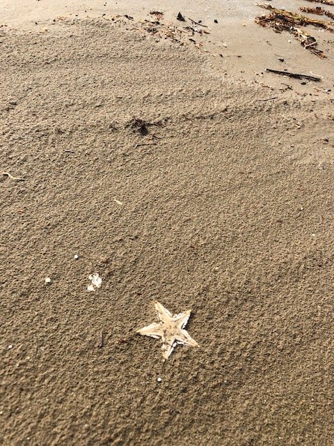 ものとして扱ってみる