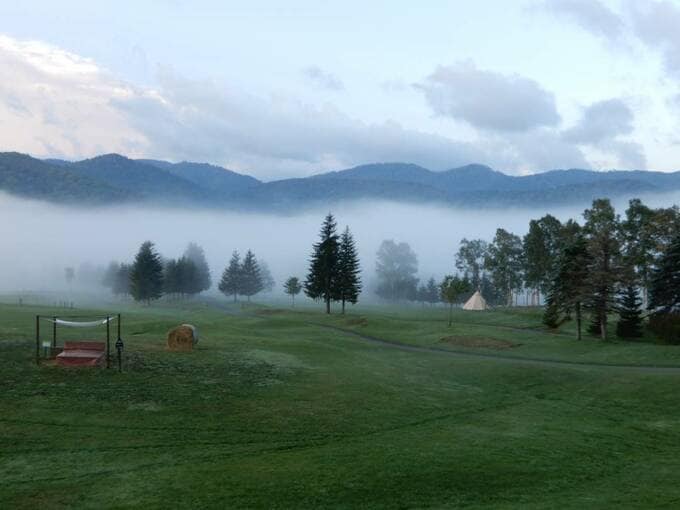 霧がかった草原