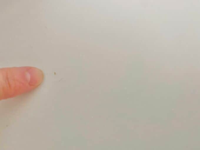 カウンターについた小さなキズ