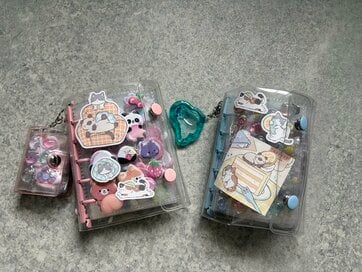 流行中の「シール交換」「シル活」について親子で話し合ったこと。目的やブーム終了後の扱いも