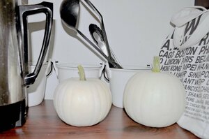 白パンプキンは、いつもの場所に置くだけでステキ!