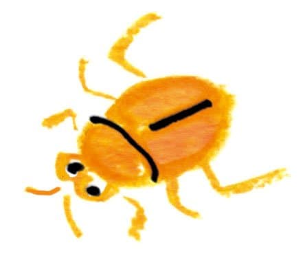 イラストシバンムシ