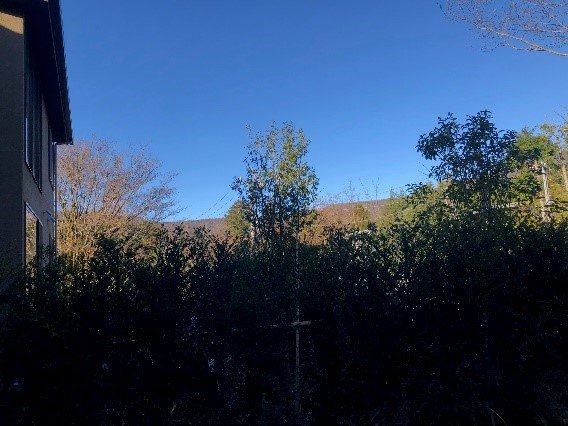 テラスからの眺め