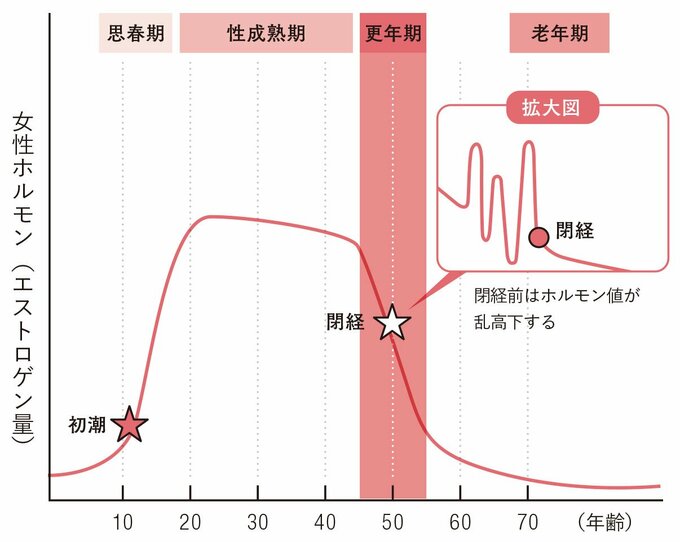 女性ホルモンと更年期の関係