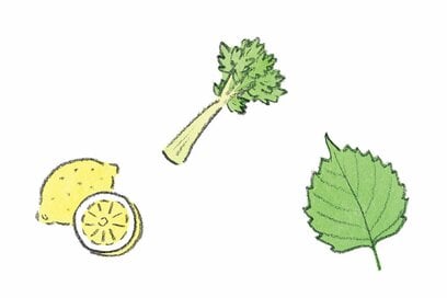 冬から春の「冷え・乾燥・イライラ」に効く。5つの不調を整える、薬膳のおすすめ食材