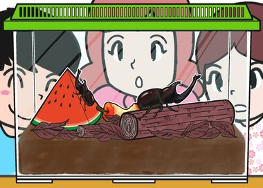 夏はやっぱりカブトムシ…何かが違う？5つ見つけたらエラい間違い探し