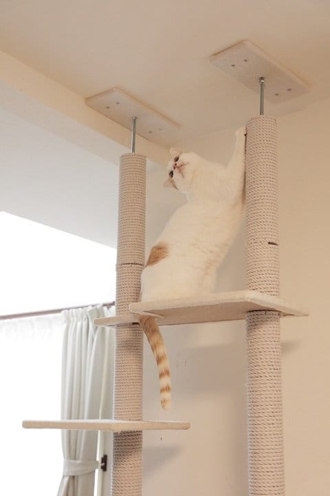 Hさんの家