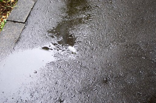 水たまり