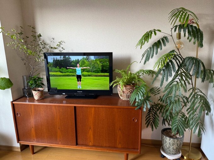 ラジオ体操の動画を流したテレビ