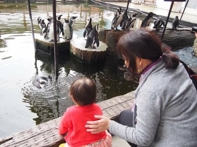 ペンギンを見る女性と子ども