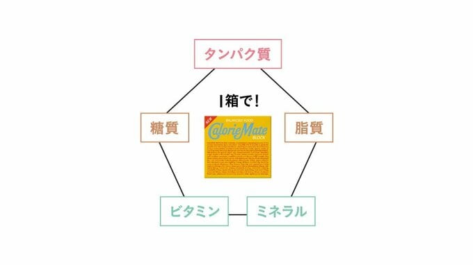 カロリーメイト