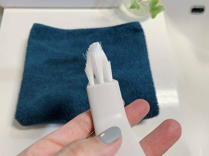 ブラシを持つ様子