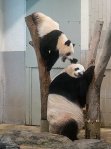 ママ～起きて！