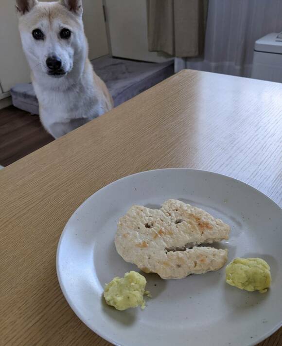ご飯を見つめる犬
