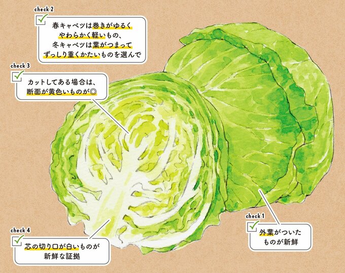 おいしいキャベツの見分け方
