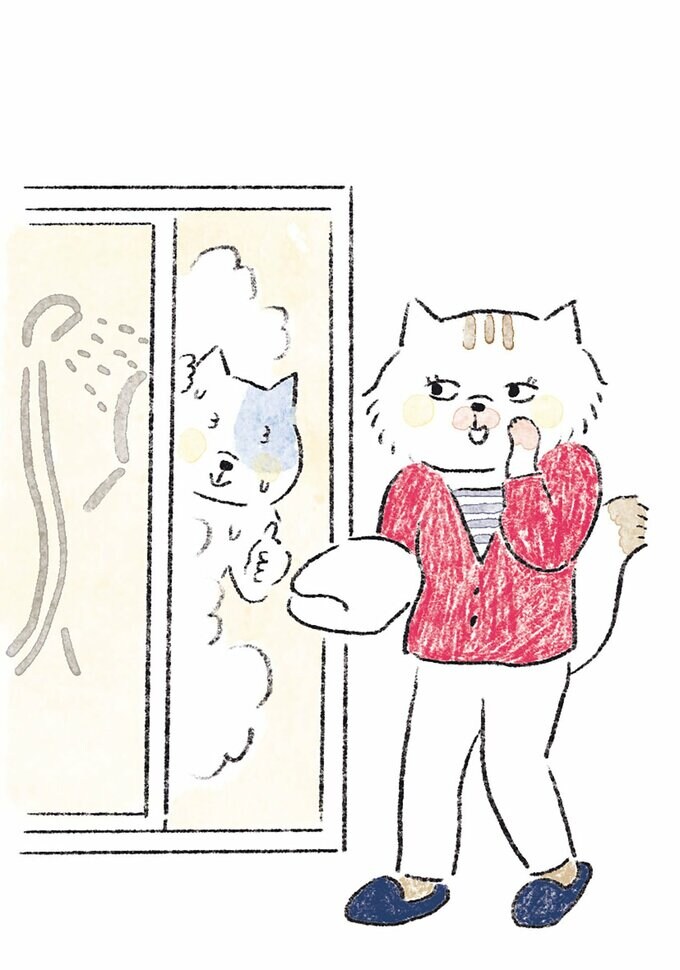 シャワー猫