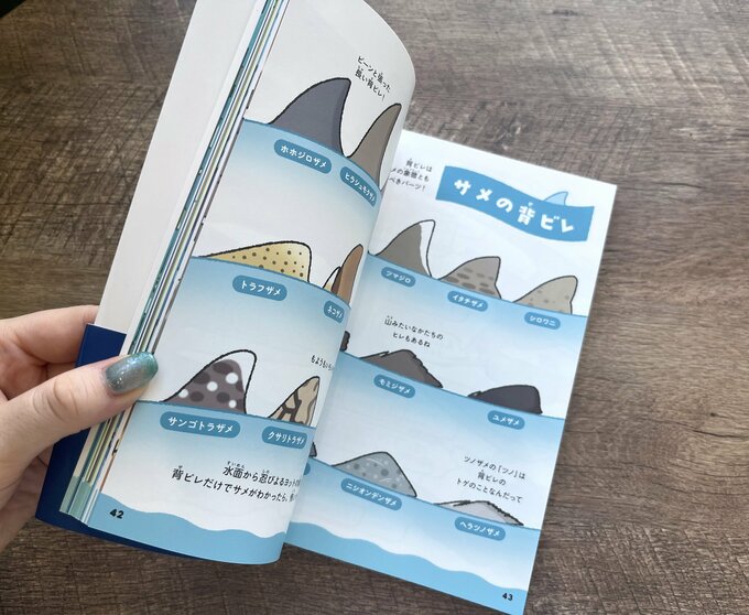 サメのパーツごとの写真