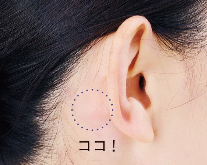 胸鎖乳突筋の付け根部分