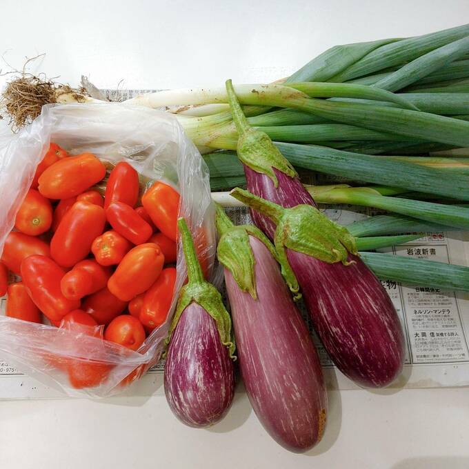 お野菜