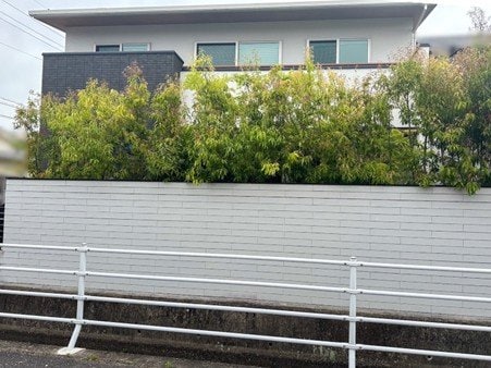 道路から見た武井家