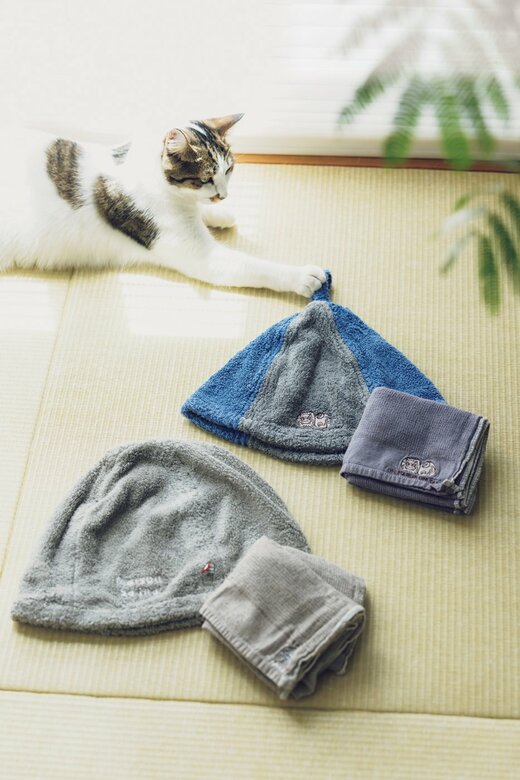 タオルを気にする猫