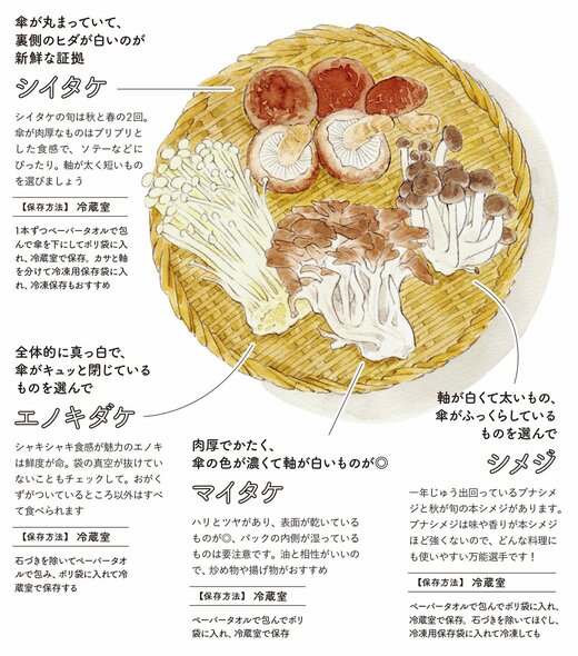 きのこイラスト