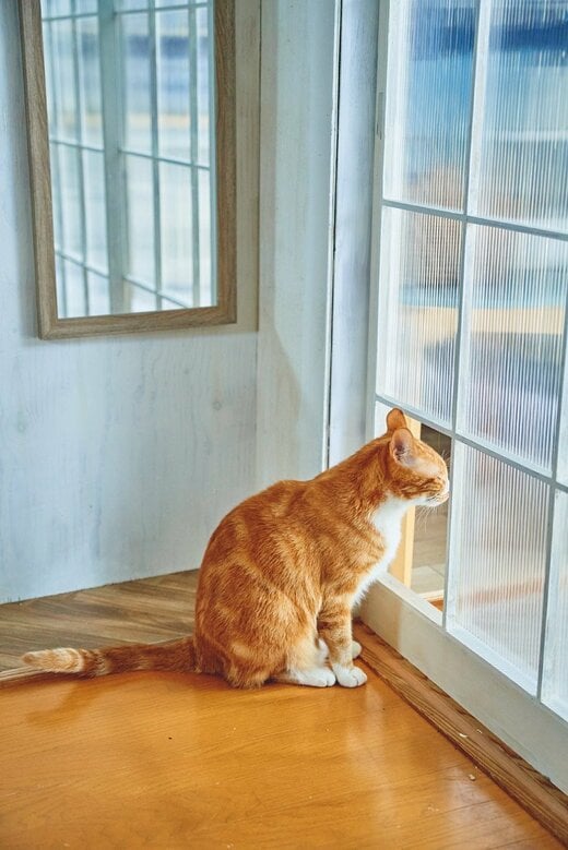 一部をくり抜いた障子