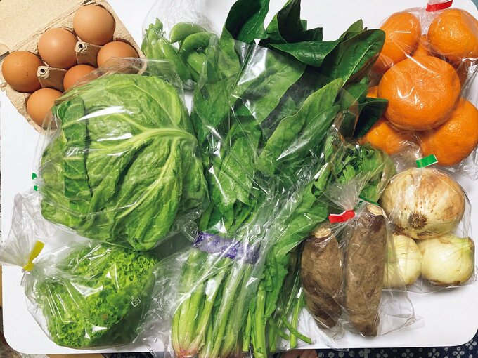 ふるさと納税の返礼品