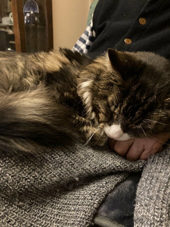 母のひざで眠るタルボくん