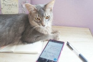 SNSでつぶやいてモチベーションを維持しよう