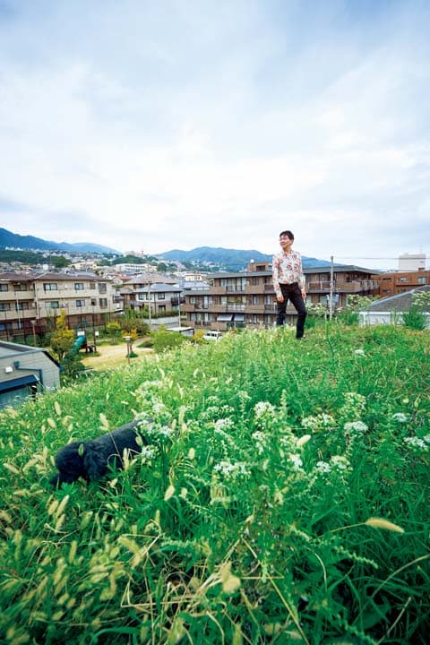 屋根に自生する緑