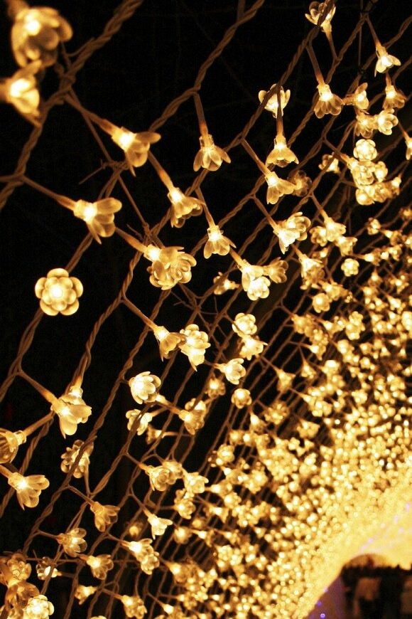 イルミネーション撮影