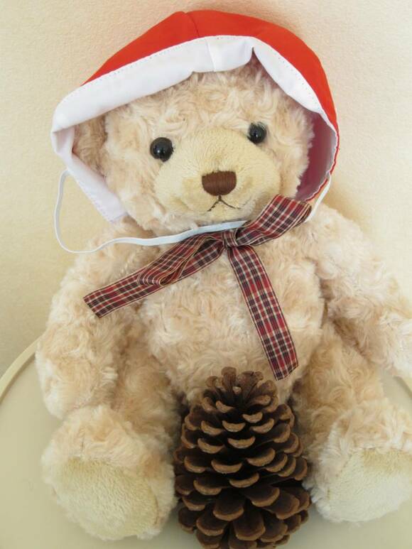 ヌイグルミに赤白帽