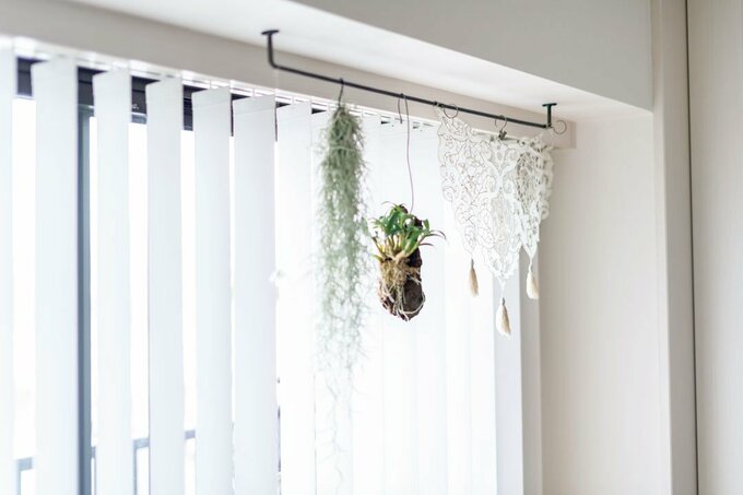 窓際にグリーン